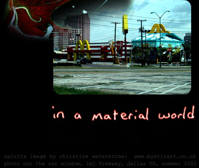 in a material world