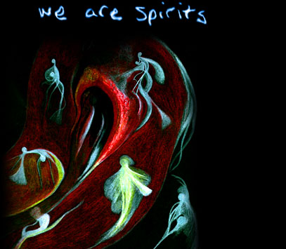 we are spirits